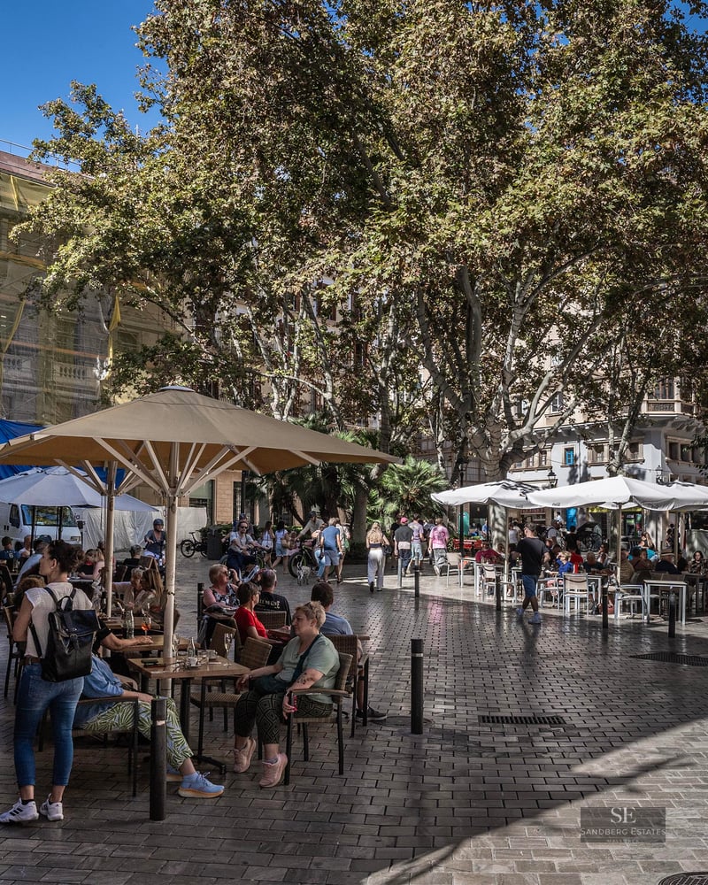 Des gens assis à des tables de café en plein air sous des parasols sur une place pavée avec des arbres et des bâtiments.