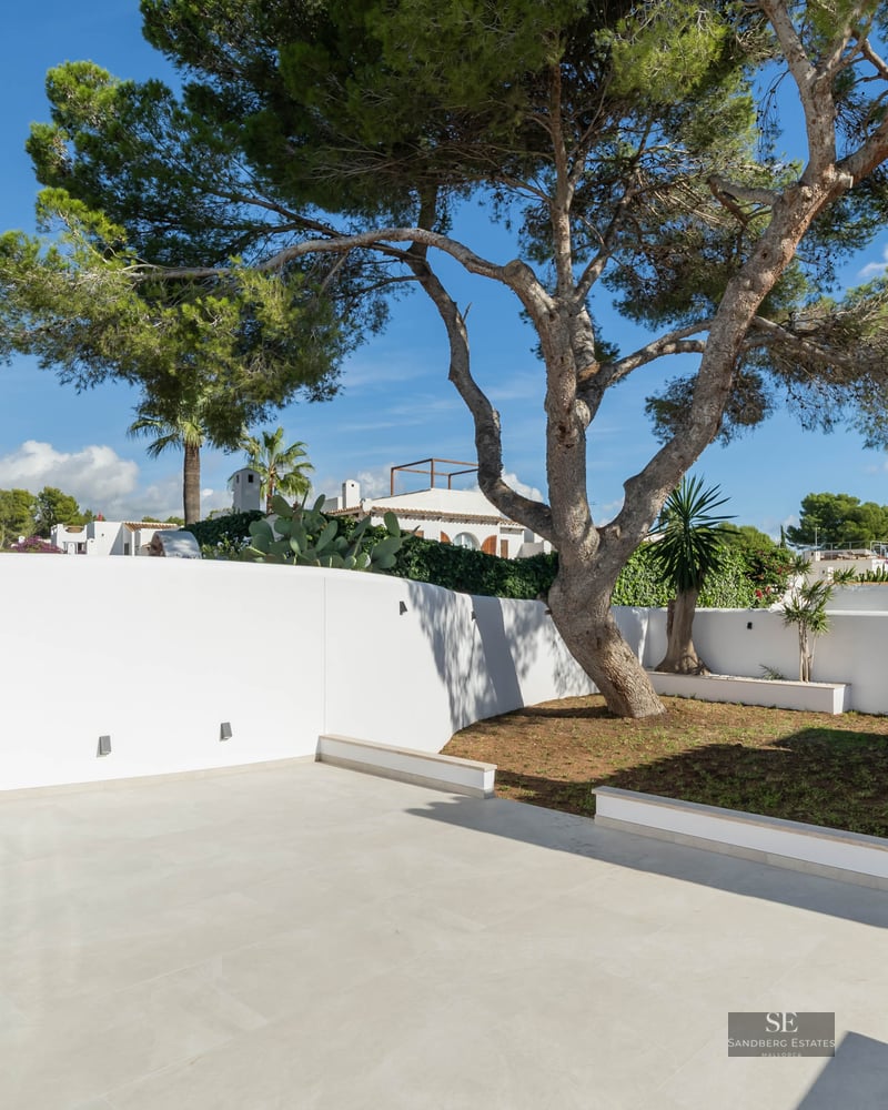 Bright outdoor terrace with white walls, light grey tiles, and a large architectural pine tree under a blue sky.