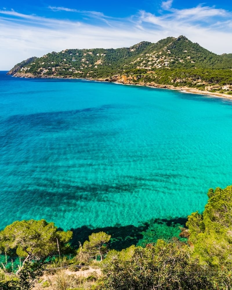 High-angle view of a crystal clear turquoise bay surrounded by green pine trees and distant mountains under a blue sky.