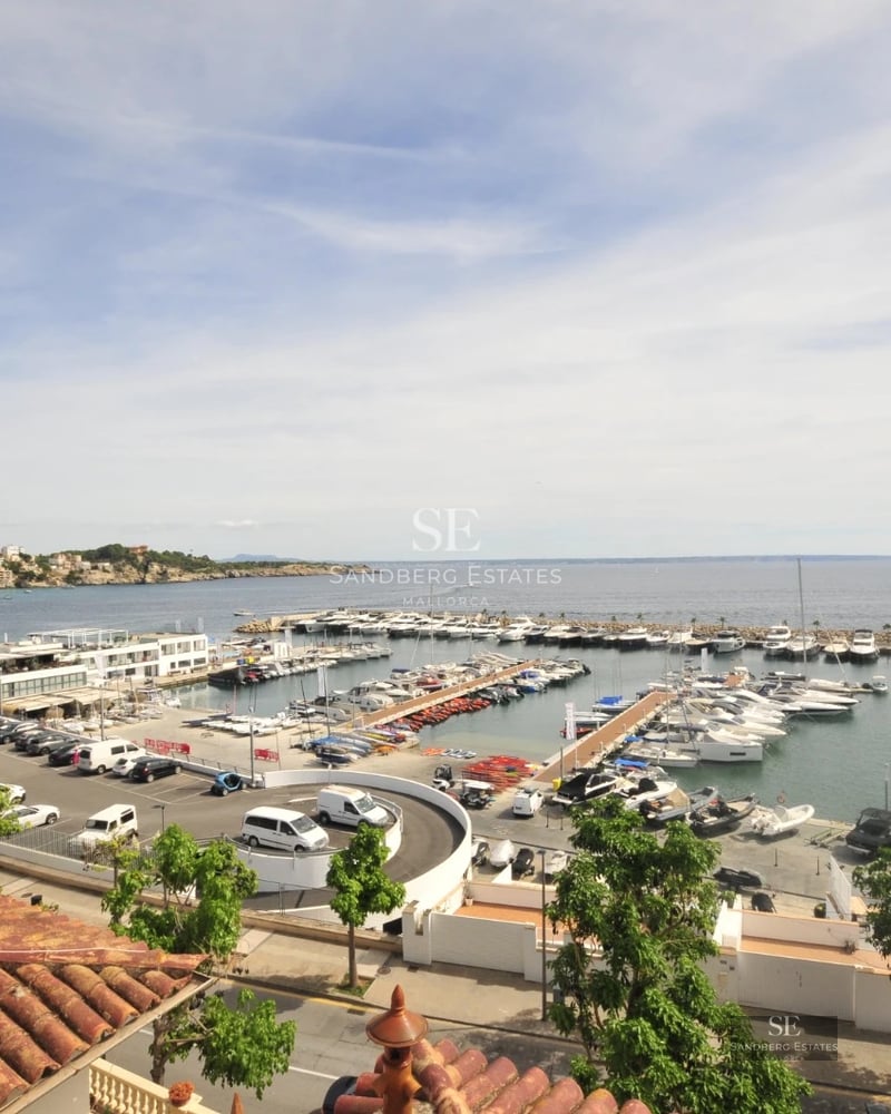 Spacious living room with floor-to-ceiling windows, panoramic views, modern furniture, natural light, and direct terrace access.