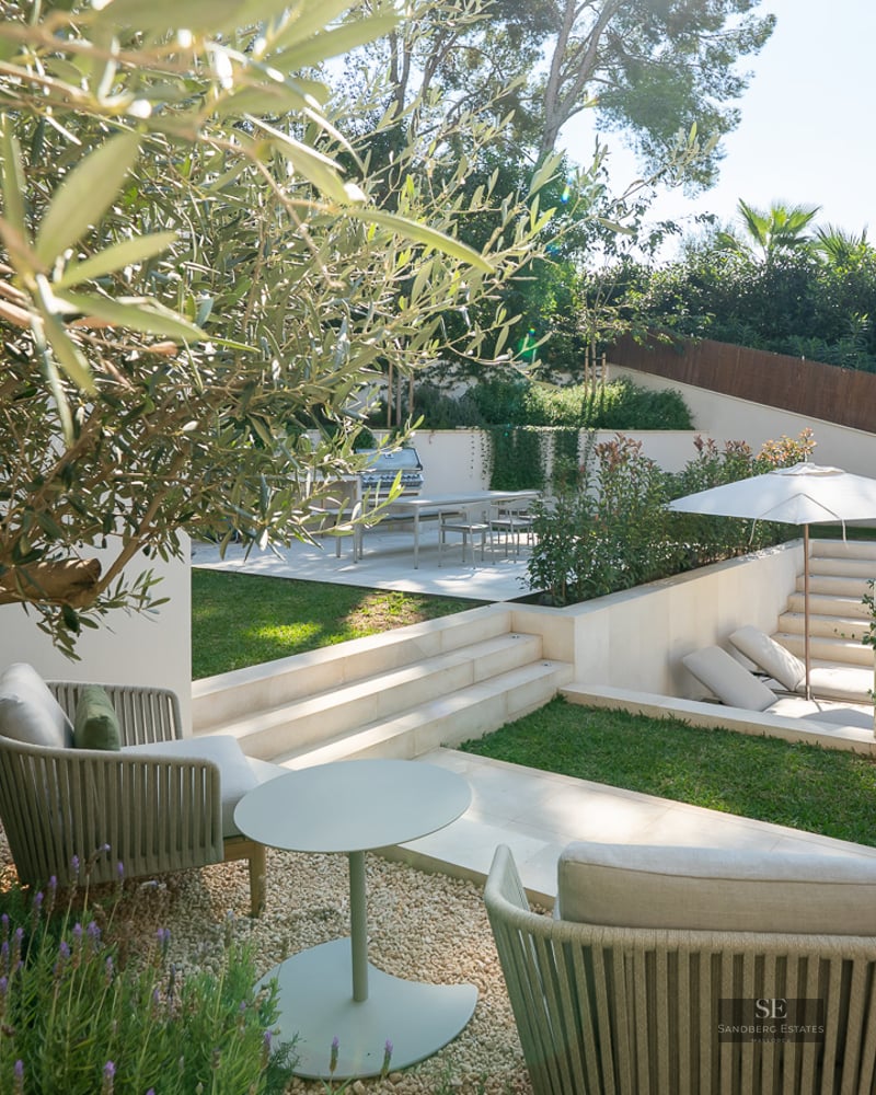Multi-level garden featuring an olive tree, designer seating, a BBQ area, and lush lawn under bright sunlight.