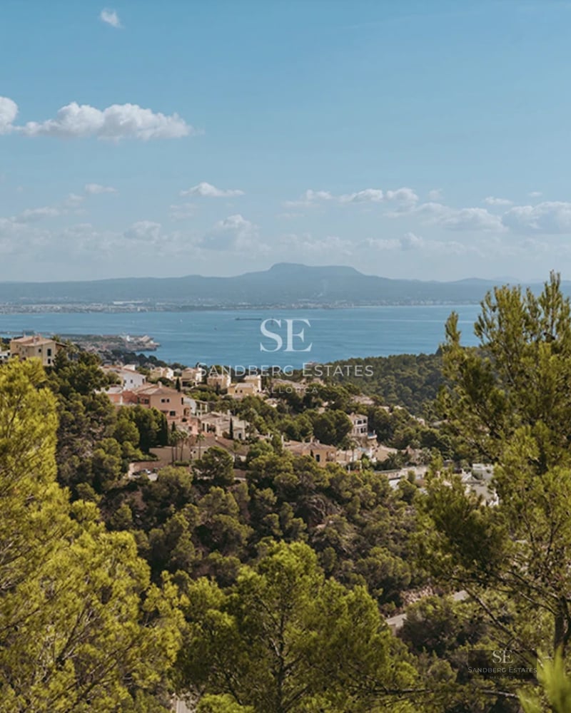 Spacious, bright living room with white sofas, textured rug, coffee table, and large windows overlooking the garden. Modern and elegant design.