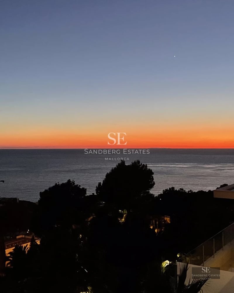 Expansive terrace with infinity pool and ocean view. Modern design, lounge chairs, and lush vegetation.