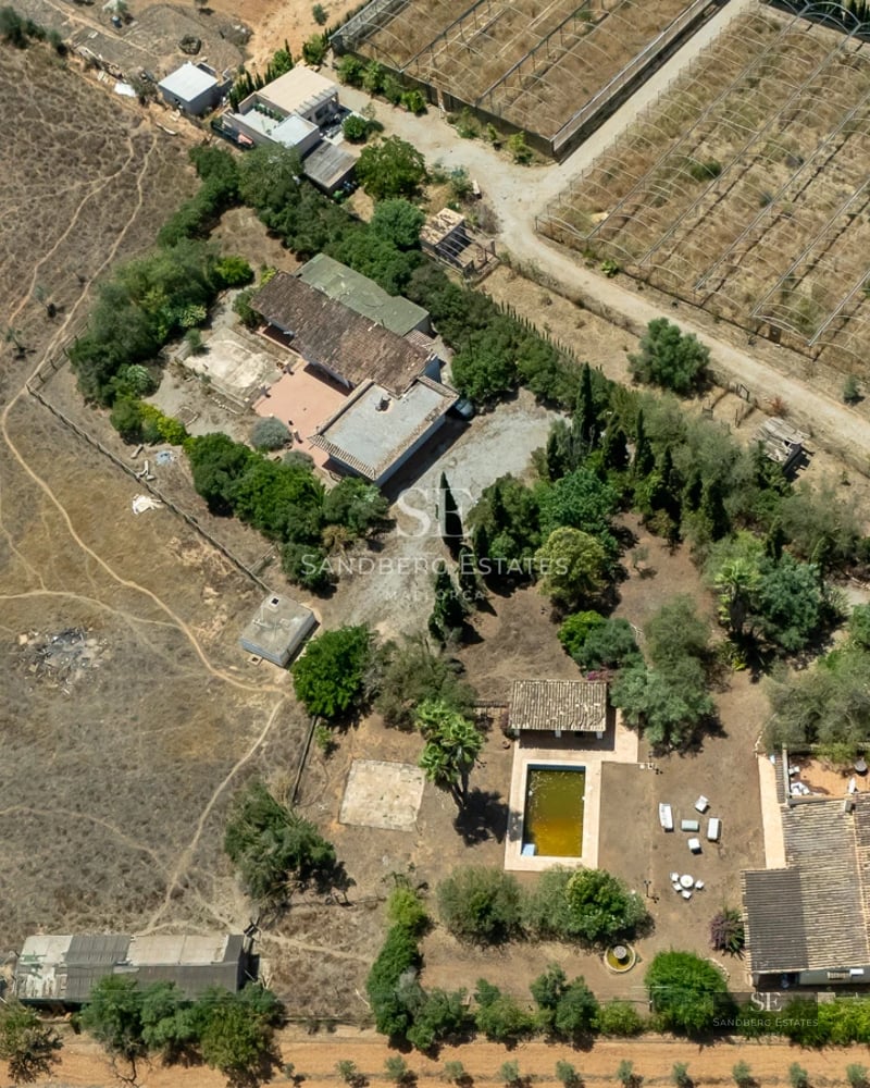 Exterior view of a modern house with a pool, surrounded by greenery. Minimalist architecture, with large windows and clean lines.