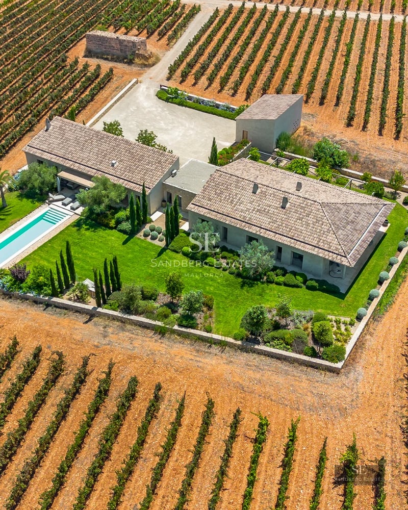 Exterior view of a modern house with pool, terraces, large glass windows and lush vegetation. Minimalist architecture.