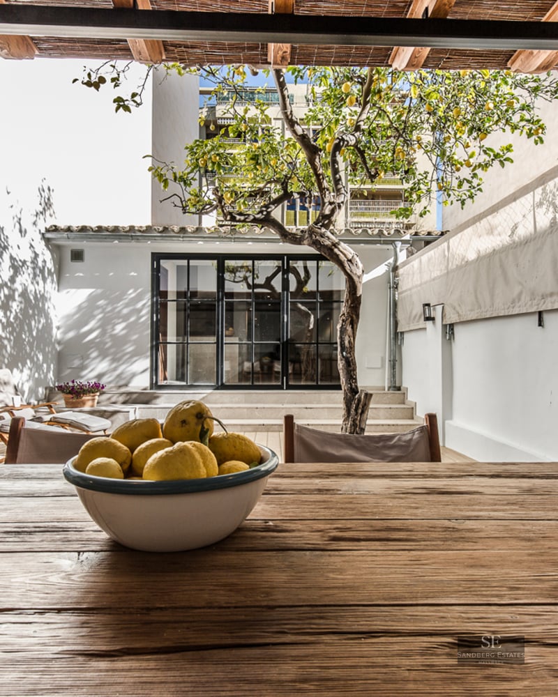 Sunny Mediterranean patio featuring a wooden dining table, a lemon tree, lounge chairs, and a white wall under a reed roof.
