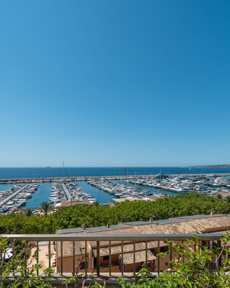 High-angle view of a bustling marina with white yachts under a clear blue sky, seen from a terrace with greenery.