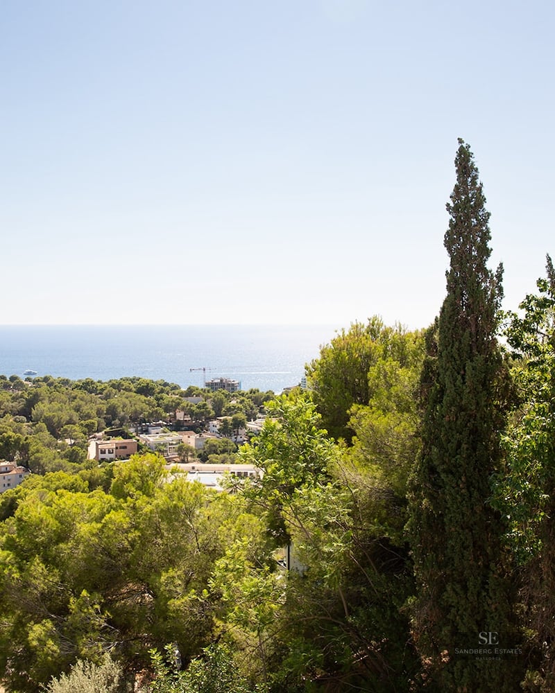 Elevated view overlooking a lush green forest and a coastal town leading to the blue sea under a clear sky.