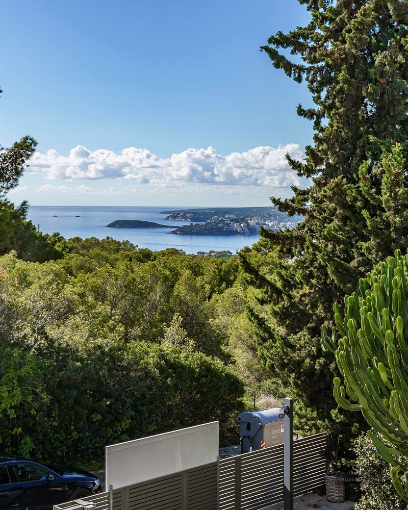 Vue surélevée sur une forêt de pins dense vers la mer bleue étincelante sous un ciel ensoleillé.