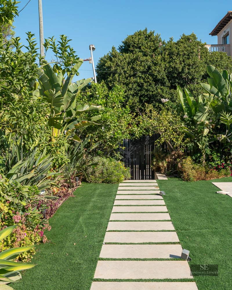 Modern swimming pool with stone path and lush tropical greenery under a clear blue sky.
