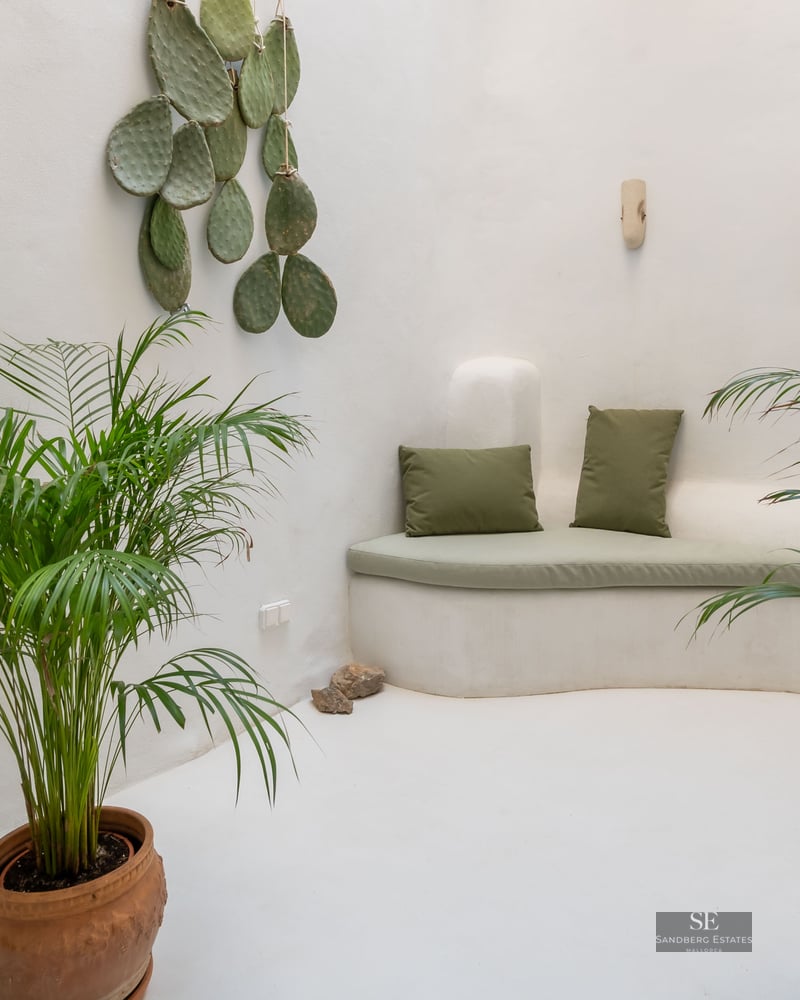 Minimalist white room featuring a curved built-in bench, green cushions, potted palms, and a wall-mounted cactus.