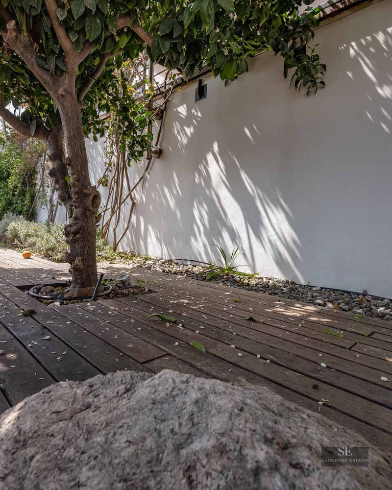 Wooden deck path next to a citrus tree and white wall with dappled leaf shadows.