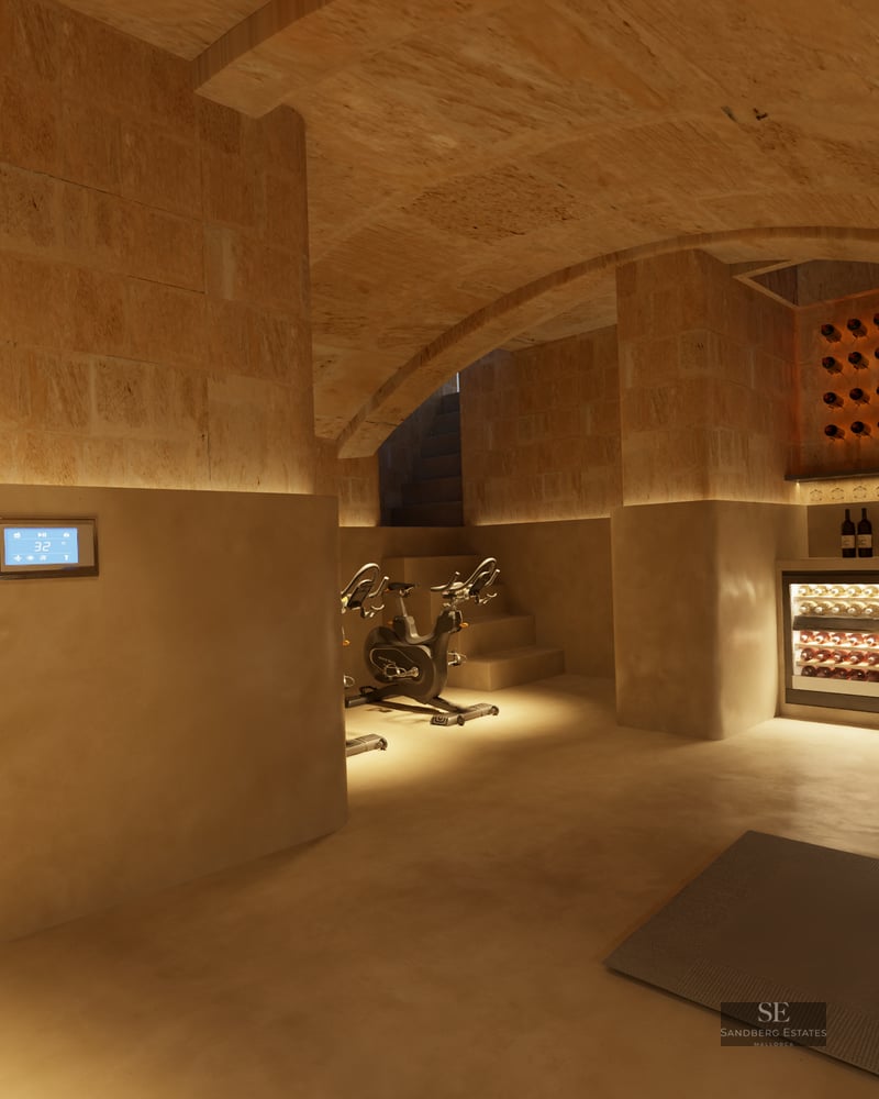 Underground wellness suite with vaulted stone ceilings, featuring exercise bikes, a wine cellar, and a steam room.