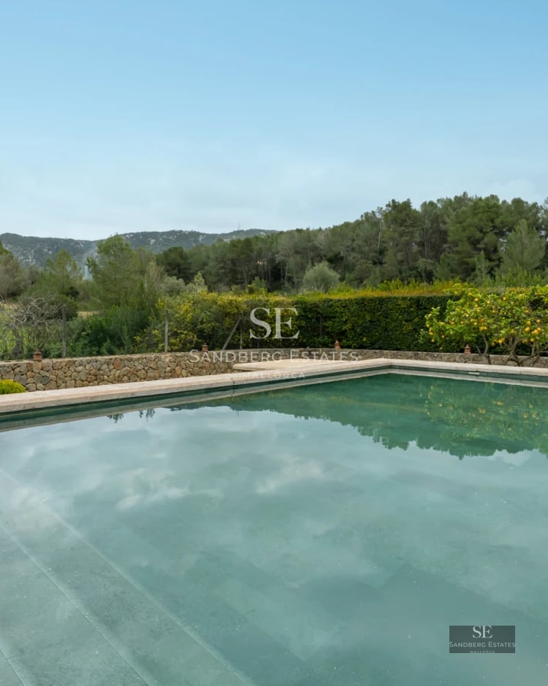 Exterior view of a modern villa with reflecting pool, lush vegetation, and minimalist architecture. Soft ambient lighting.