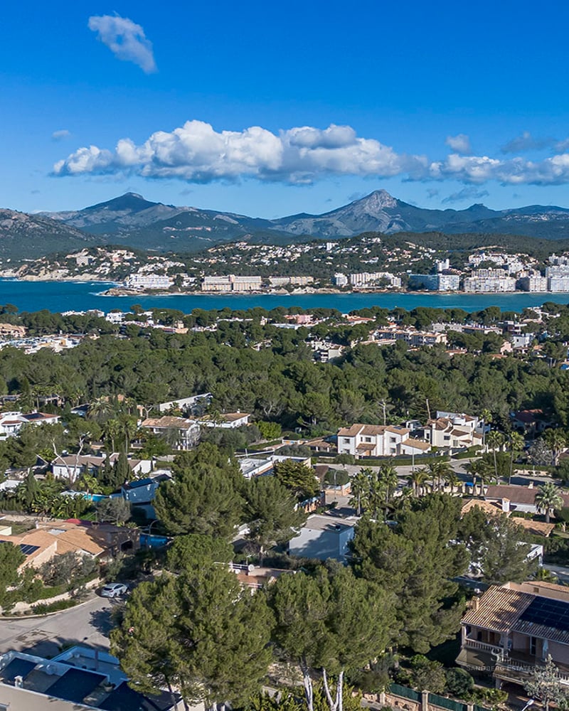 High-angle aerial shot of luxury villas nestled in pine trees overlooking a blue sea bay and distant mountain range.