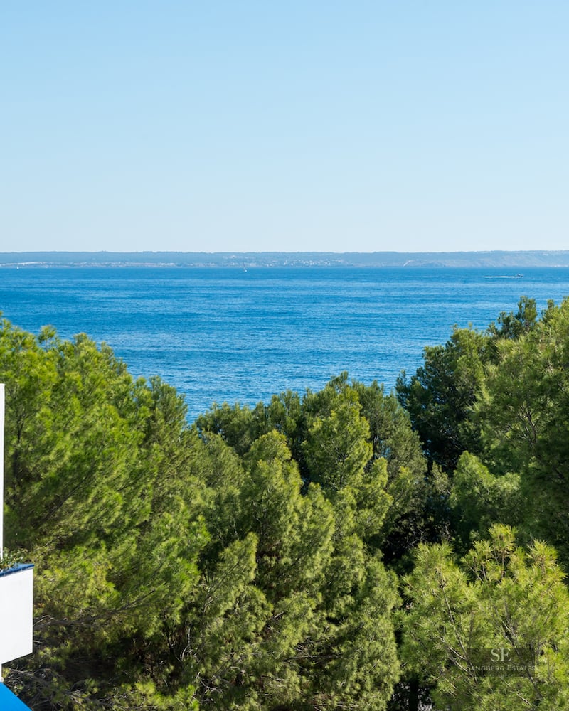 A wide view of the blue sea and horizon over green treetops from a white building's balcony.