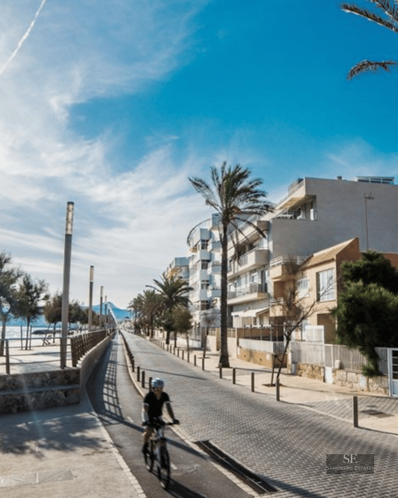 A sun-drenched coastal promenade with a bike lane, palm trees, and modern buildings next to the sea under a bright sky.