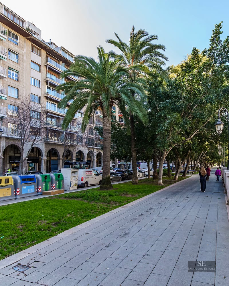 Promenade urbaine pavée avec palmiers à côté d'un immeuble en pierre à plusieurs étages avec balcons sous un ciel bleu.