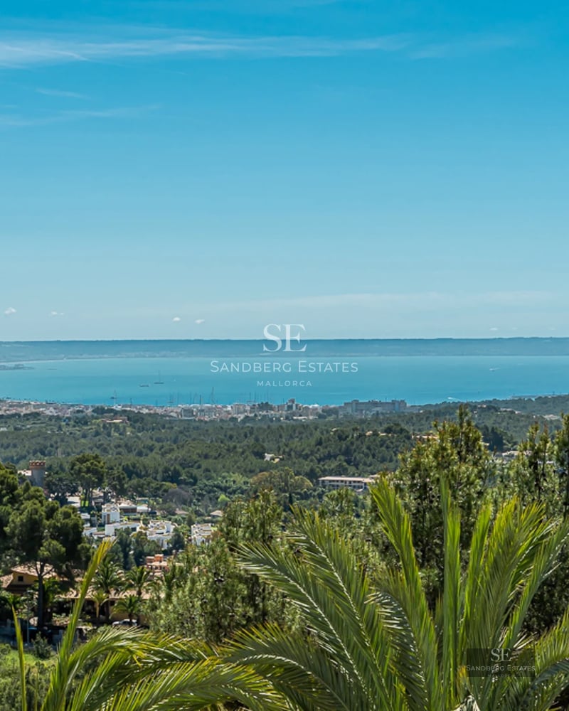 Bright living room with large windows, designer furniture, and panoramic sea views. Beige sofa, elegant coffee table, and modern decor.