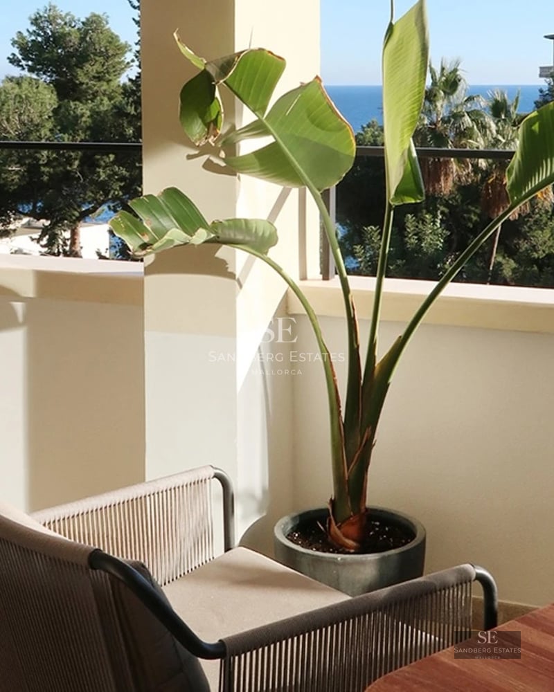 Bright penthouse with glazed terrace, modern furniture, and panoramic views. Minimalist design and high-quality finishes.