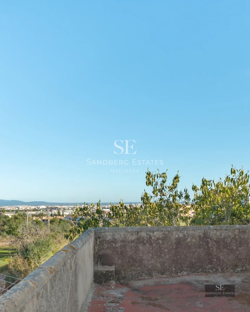 Exterior view of a modern villa with a pool, surrounded by greenery. Minimalist architecture with large windows and spacious terraces.