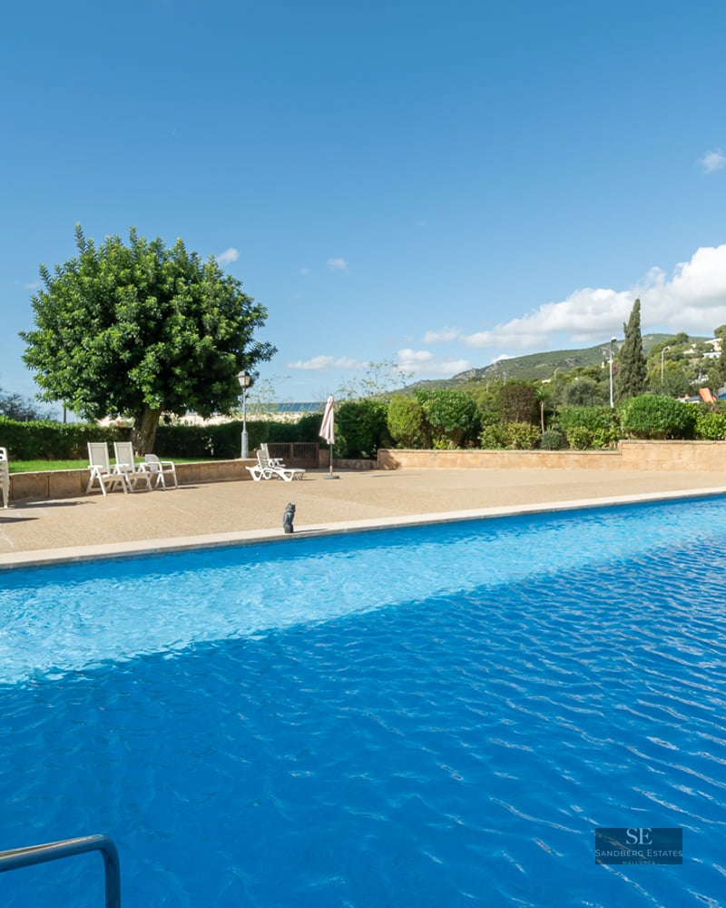 Large blue swimming pool surrounded by a stone terrace with lounge chairs and trees under a clear sky.