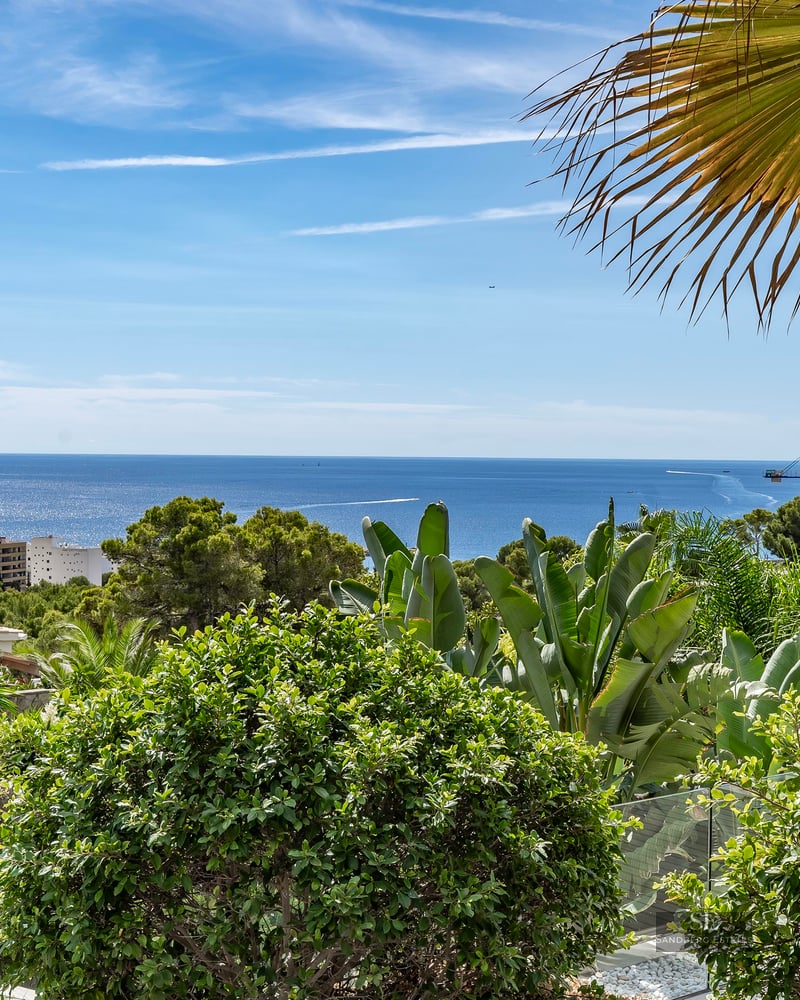 Lush tropical garden with palms and shrubs overlooking the sparkling blue sea under a clear sky.