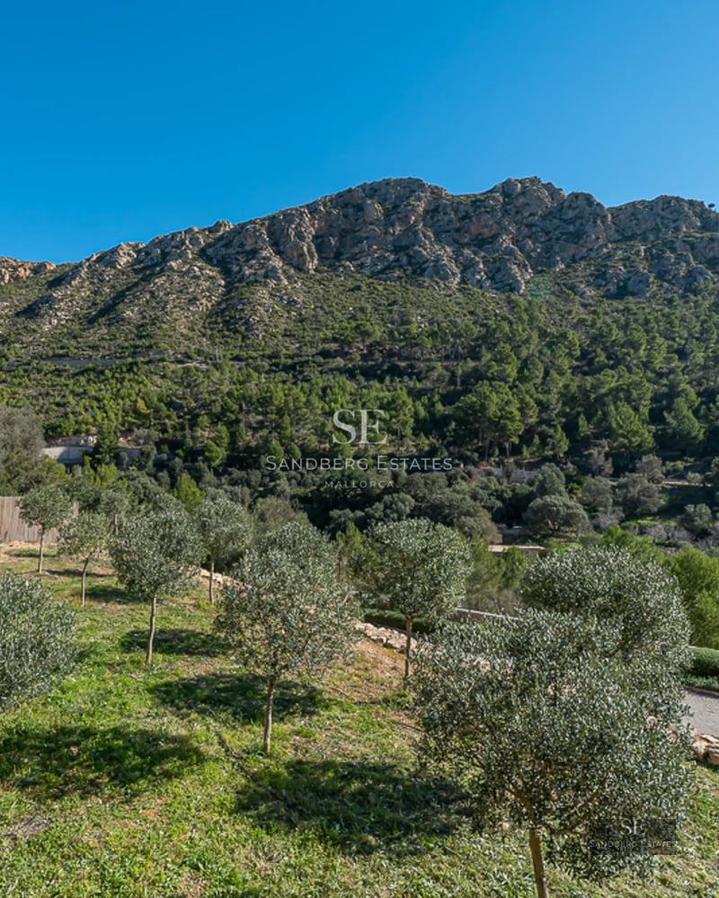 Modern facade with reflective pool. Large windows, exposed concrete, minimalist garden. Warm lighting, partly cloudy sky.