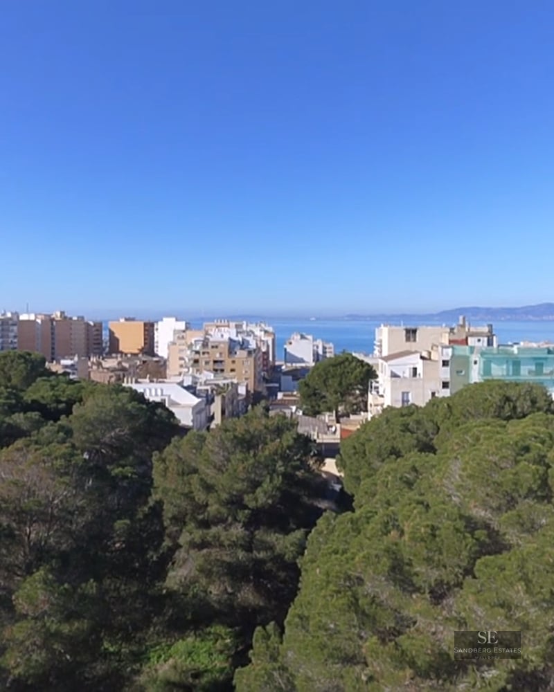 High-angle view over lush green treetops towards white urban buildings and the blue sea under a clear sky.