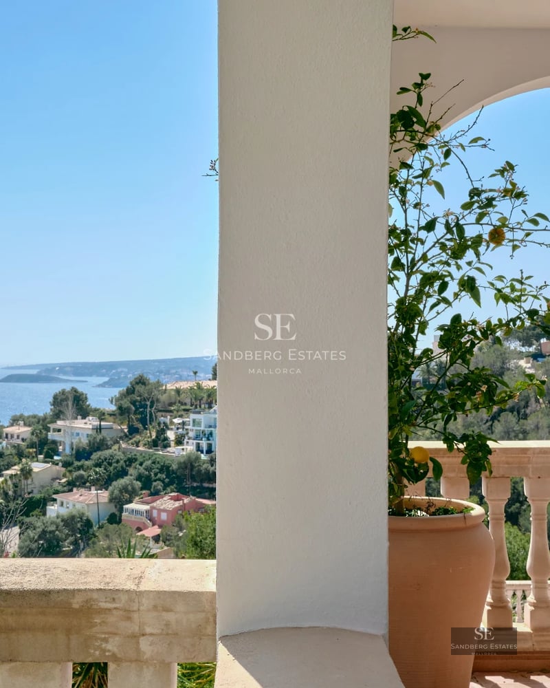 Spacious living room with floor-to-ceiling windows, light wood flooring, gray modular sofa, and minimalist decor. Abundant natural light.