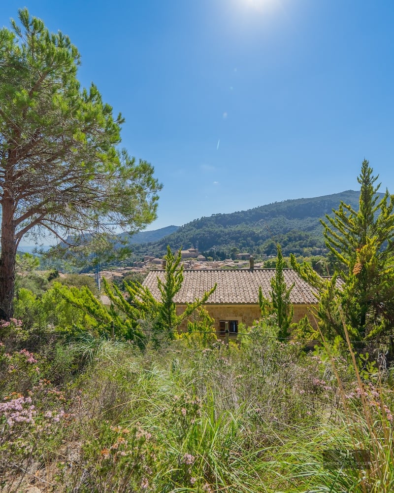 Elevated view of stone houses and tiled roofs nestled among green pine trees and mountains under a sunny blue sky.