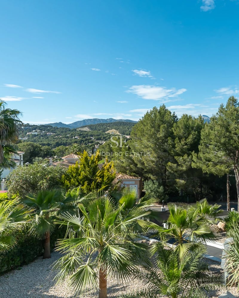 Spacious pool with terrace and lounge chairs. Modern facade with large windows and lush vegetation. Contemporary design.