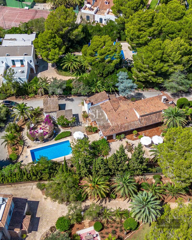 Bright living room with large windows, outdoor pool and modern design. Designer sofas, elegant rug, neutral colors.