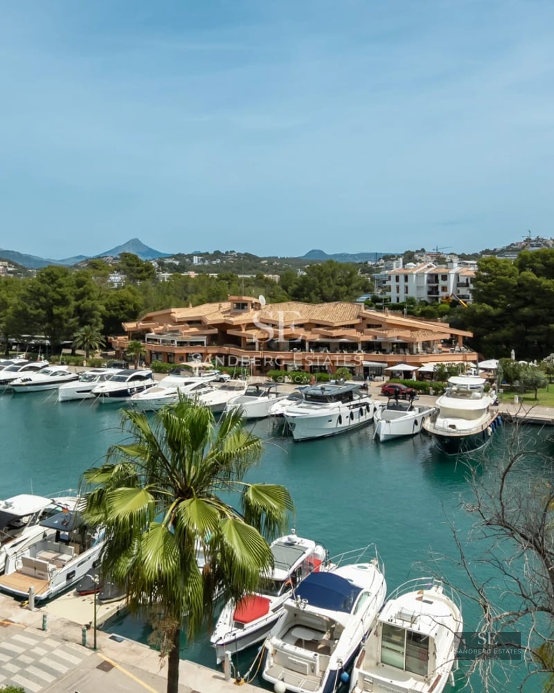 Exterior view of a modern villa featuring a pool, lush garden, and contemporary architectural design. Soft lighting and peaceful ambiance.