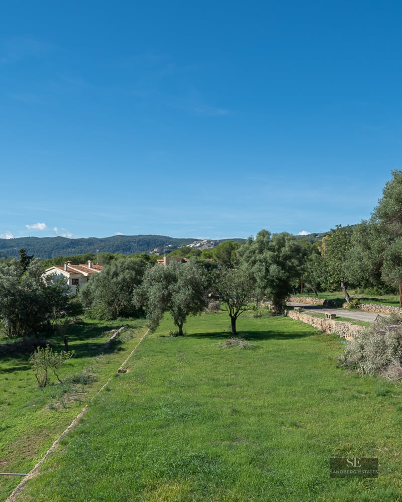 Wide view of a lush green lawn surrounded by olive trees and rustic stone walls under a clear blue sky.