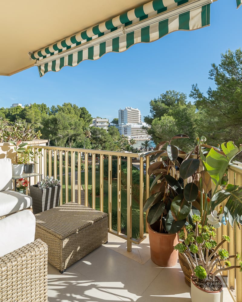 Terrasse avec canapés en osier blanc, plantes vertes et store rayé donnant sur des arbres.