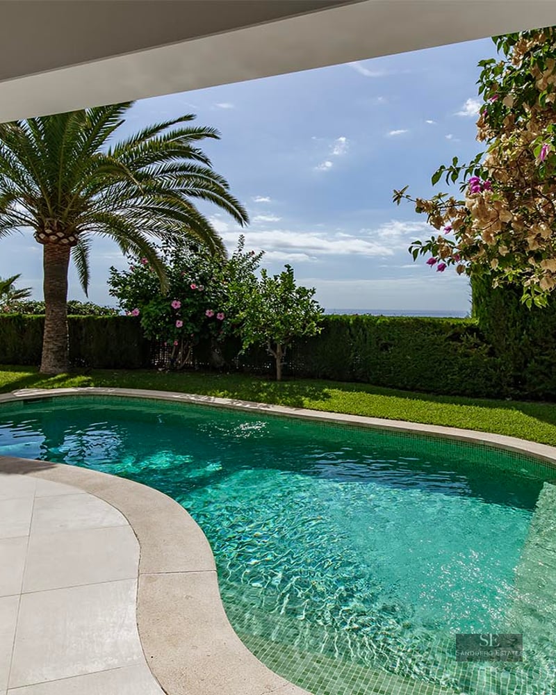 Kidney-shaped pool surrounded by green lawn, a palm tree, and sea views under a clear blue sky.