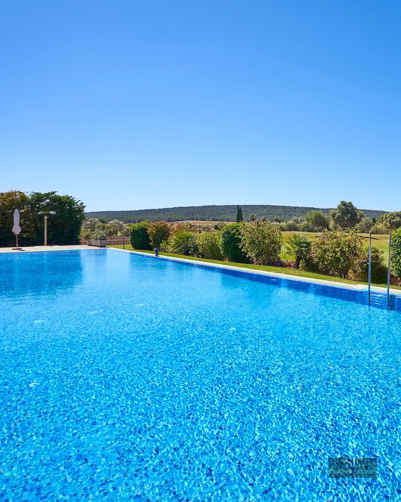 A large blue swimming pool with shimmering water, bordered by green hedges and a clear blue sky background.