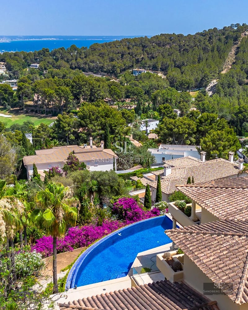 Bright living room with large windows, designer sofa, modern fireplace, and minimalist décor. Panoramic views.