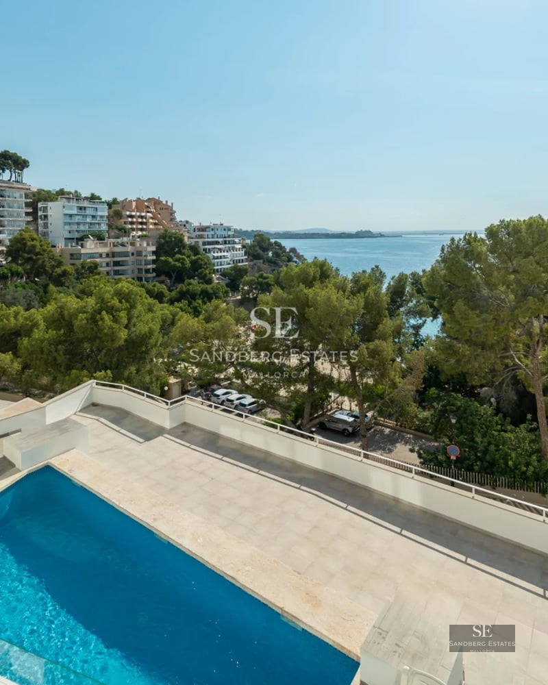 Exterior view of modern house with pool. Minimalist architectural design, large windows, lush garden, and tranquil environment.