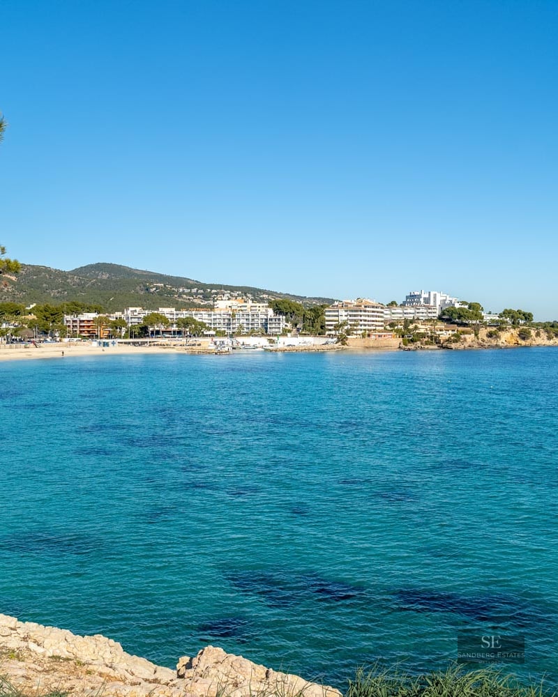 View of a turquoise blue bay with a sandy beach and coastal buildings, seen from a rocky cliff with a pine tree.