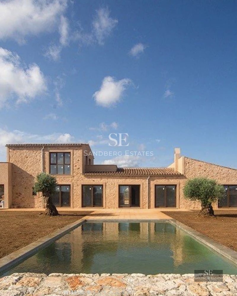 Spacious living room with large windows, modern fireplace, light wood floors, and designer furniture. Abundant natural light.