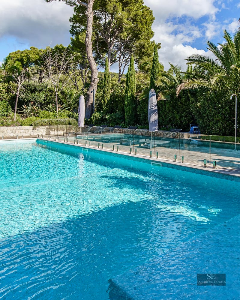 Piscine d'eau bleue cristalline avec clôture en verre entourée de palmiers et de pins.