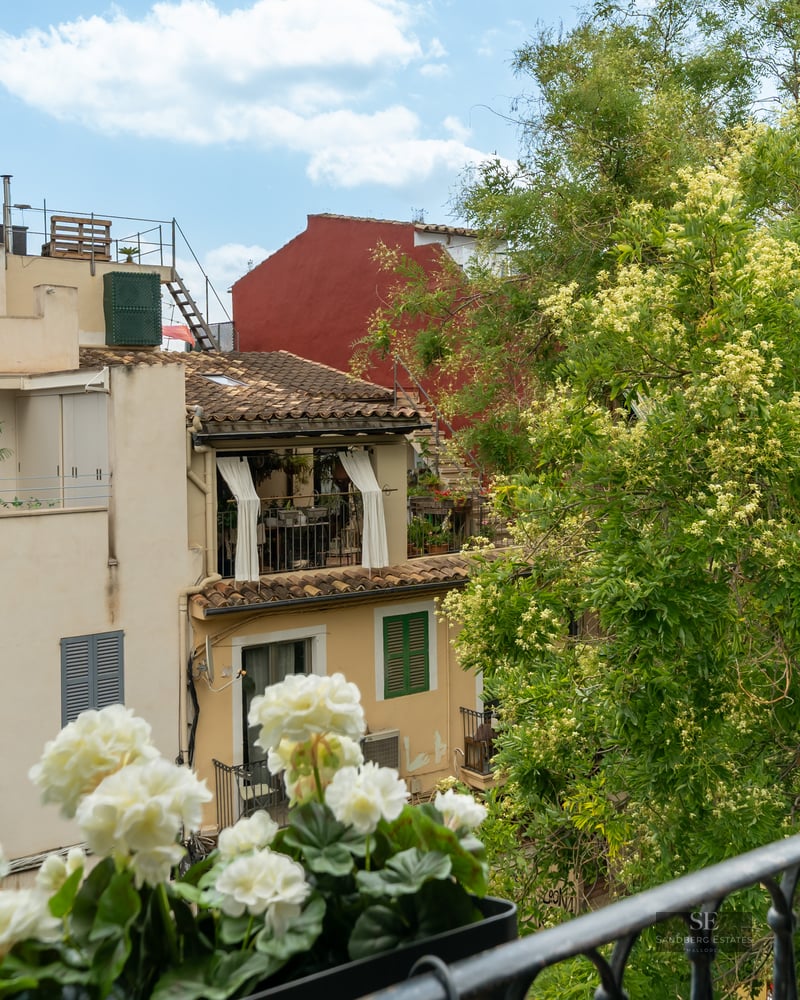 View from a balcony with a black metal railing and white flowers looking onto Mediterranean buildings and green trees.