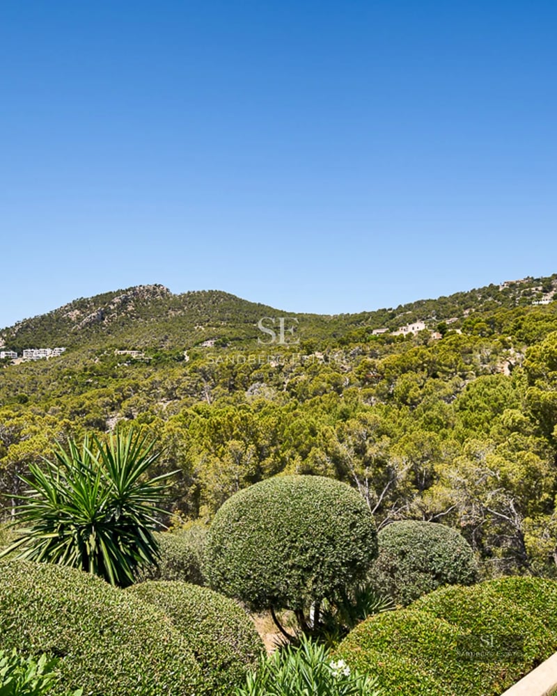 Exterior view of a modern house featuring a pool, spacious garden, and minimalist design. High-quality architectural details.