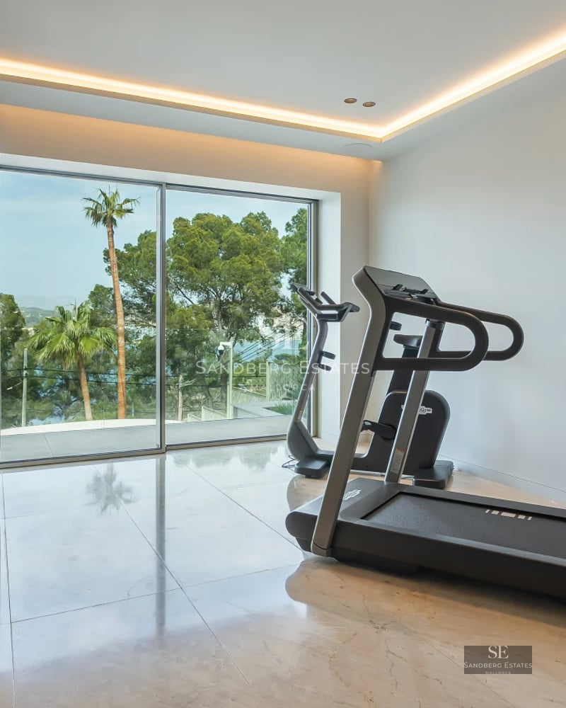 Exterior view of a modern villa with infinity pool, lush garden, and large windows. Sleek architecture and contemporary design.