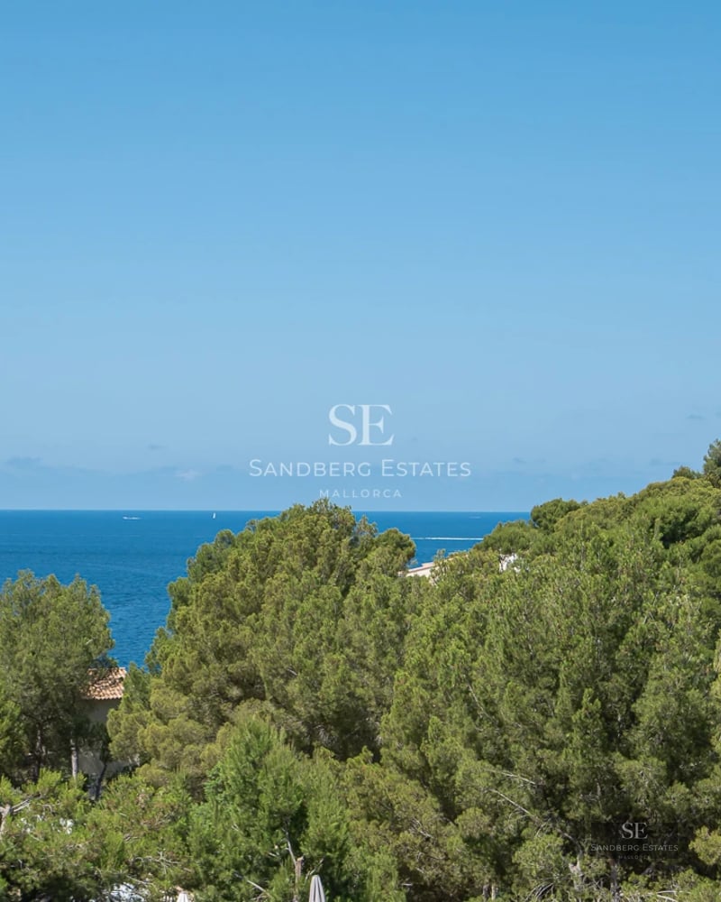 Spacious living room with panoramic windows, light wood floors, and minimalist decor. Stunning ocean views.