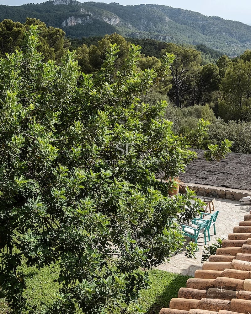 Exterior view of a modern house with pool. Minimalist design, large windows, lush garden, and high-quality materials.
