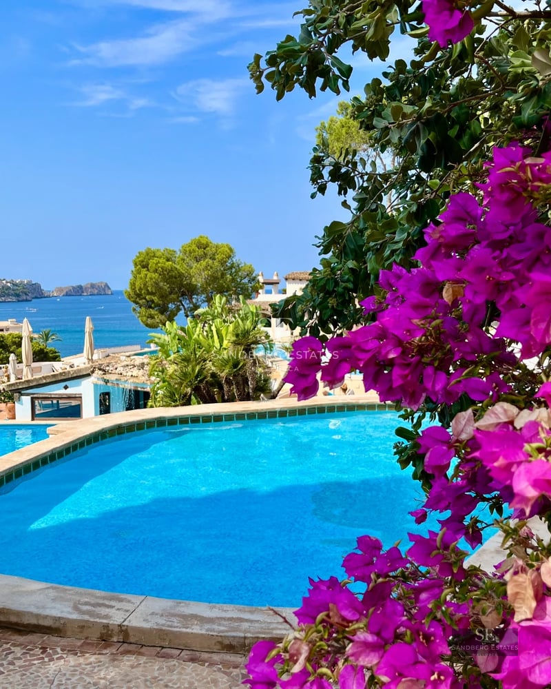 Bright living room with large windows, private pool, wood floors, and modern fireplace. Elegant design and spectacular views.