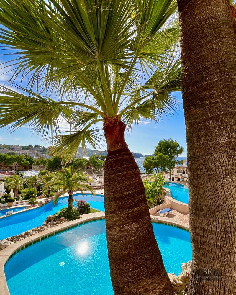 View through palm trees of large turquoise swimming pools overlooking a coastal town and the sea.